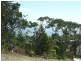 Lot 11/38 Fraser, Bicheno TAS 7215