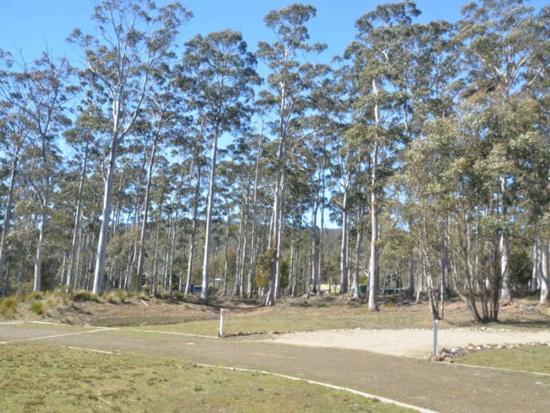7 Lake View Road, Lake Leake TAS 7210