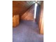 34 Burgess Street, Bicheno TAS 7215