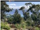 Lot 12/38 Fraser Street, Bicheno TAS 7215