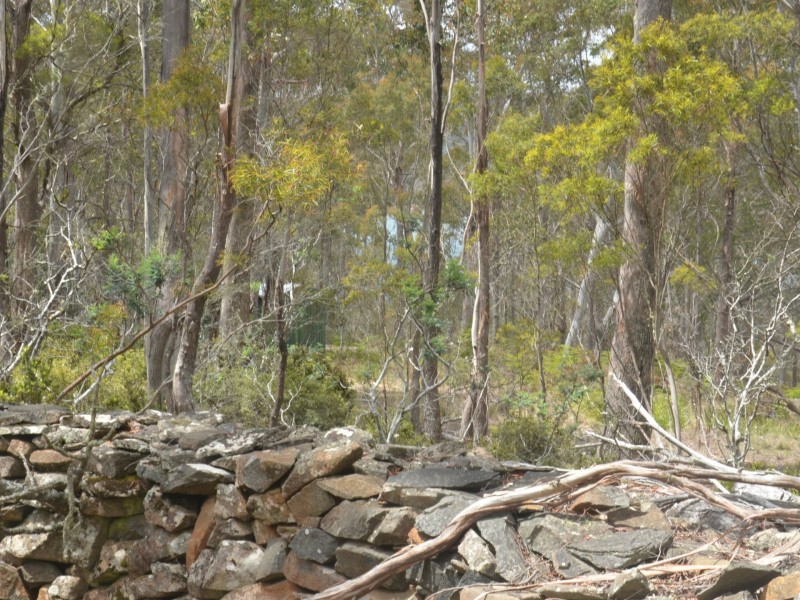 32 Little Spit Road, Lake Leake TAS 7210