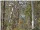 32 Little Spit Road, Lake Leake TAS 7210