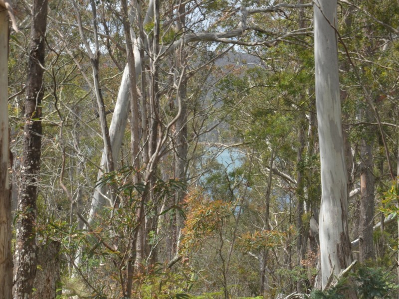 32 Little Spit Road, Lake Leake TAS 7210