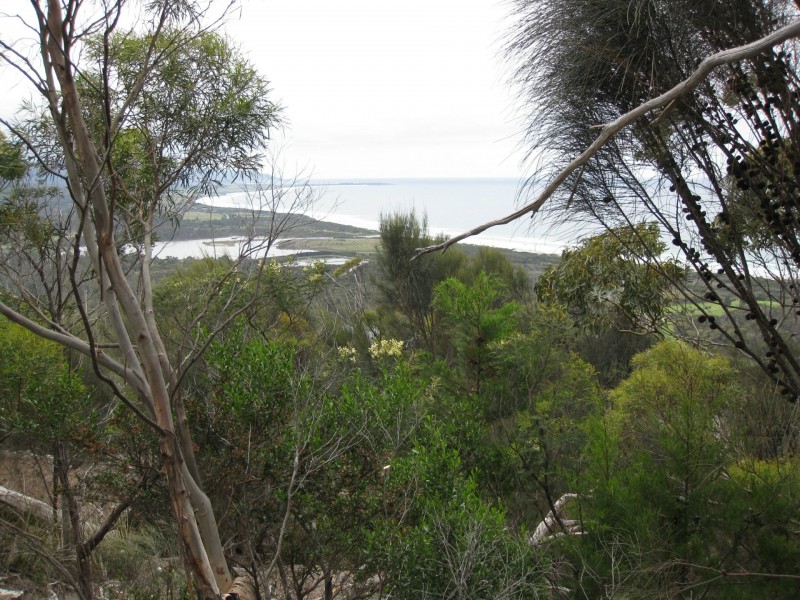 85 Rosedale Road, Bicheno TAS 7215