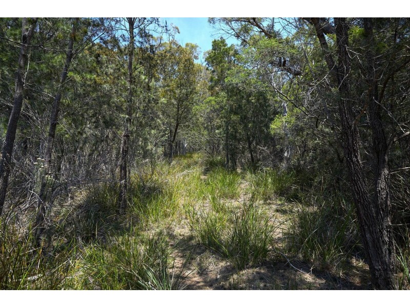85 Rosedale Road, Bicheno TAS 7215