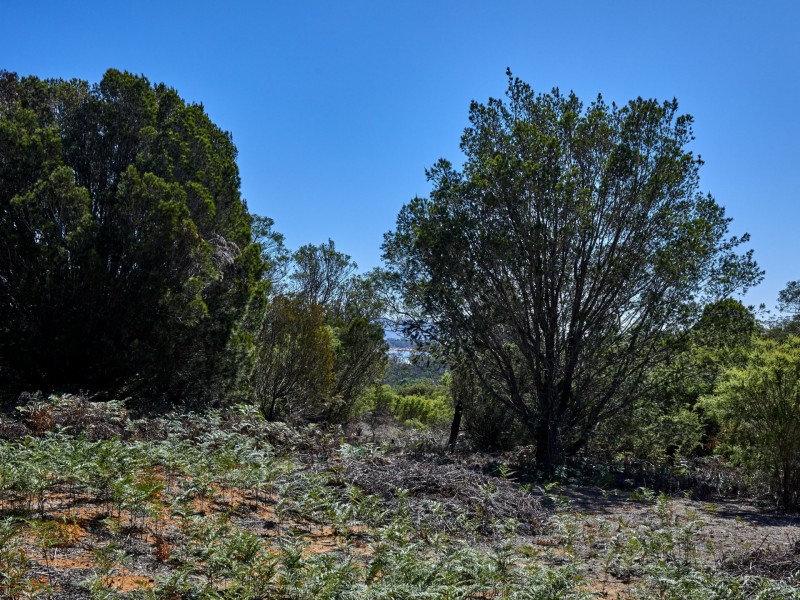 312 Wallaroo Road, Coles Bay TAS 7215