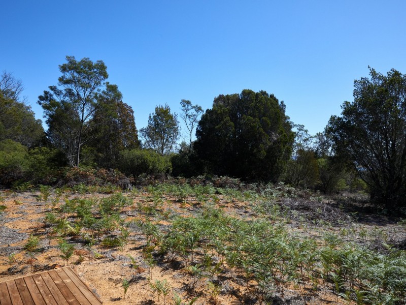 312 Wallaroo Road, Coles Bay TAS 7215