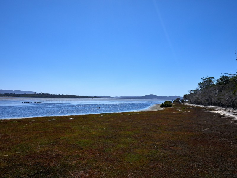 312 Wallaroo Road, Coles Bay TAS 7215