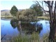 798 Old Coach Road, Cranbrook TAS 7190