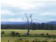 798 Old Coach Road, Cranbrook TAS 7190