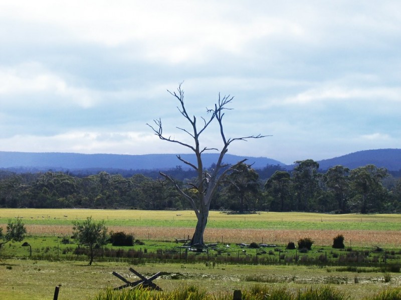 798 Old Coach Road, Cranbrook TAS 7190