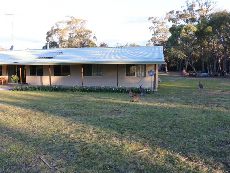 798 Old Coach Road, Cranbrook TAS 7190