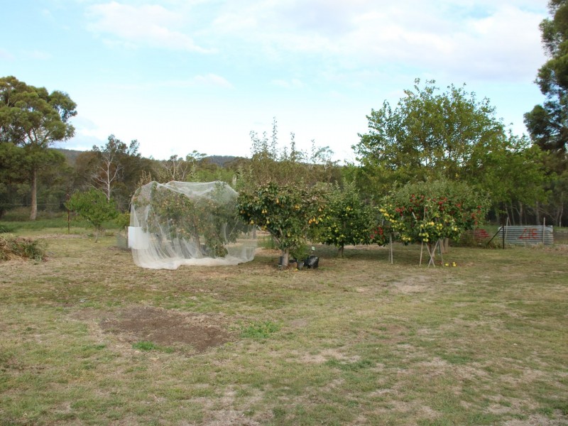 798 Old Coach Road, Cranbrook TAS 7190