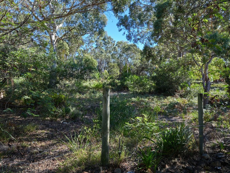 34 Burgess Street, Bicheno TAS 7215