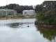 18546 Tasman Highway, Bicheno TAS 7215