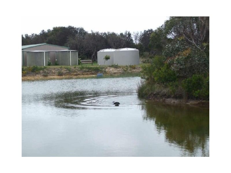 18546 Tasman Highway, Bicheno TAS 7215