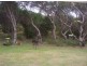 18546 Tasman Highway, Bicheno TAS 7215