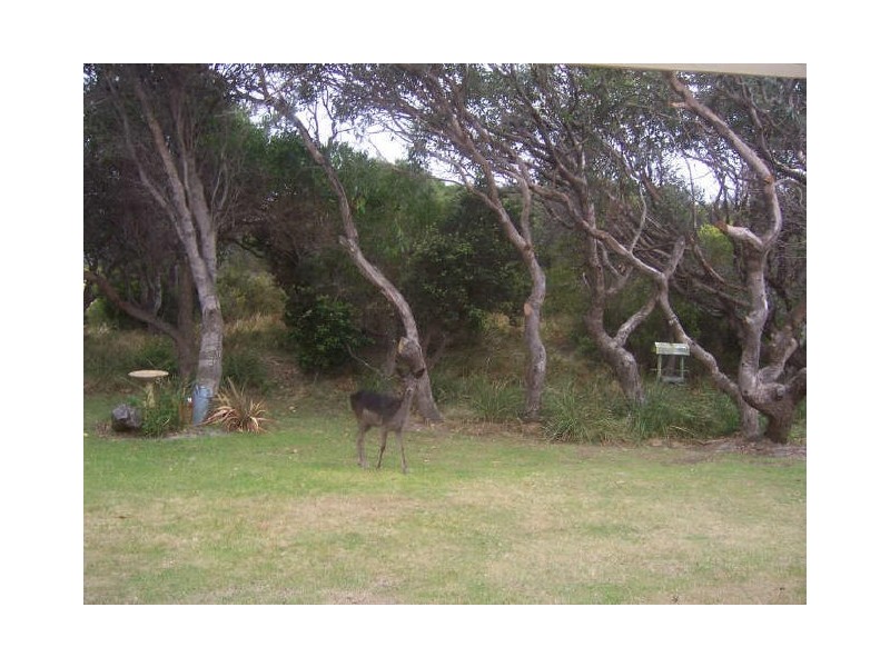 18546 Tasman Highway, Bicheno TAS 7215