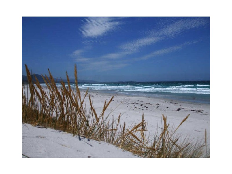 18546 Tasman Highway, Bicheno TAS 7215