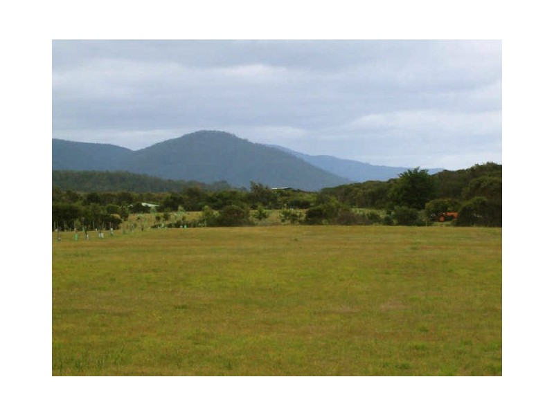18546 Tasman Highway, Bicheno TAS 7215