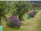 18546 Tasman Highway, Bicheno TAS 7215