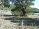 2 Wallace Avenue, Bicheno TAS 7215