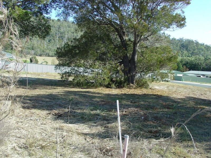 2 Wallace Avenue, Bicheno TAS 7215