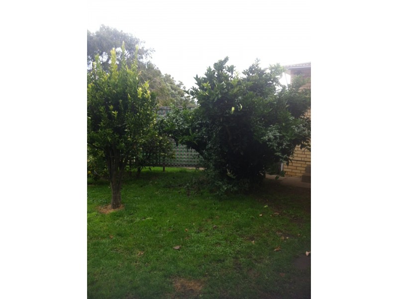 2 Sunnyview Ave, Swansea TAS 7190