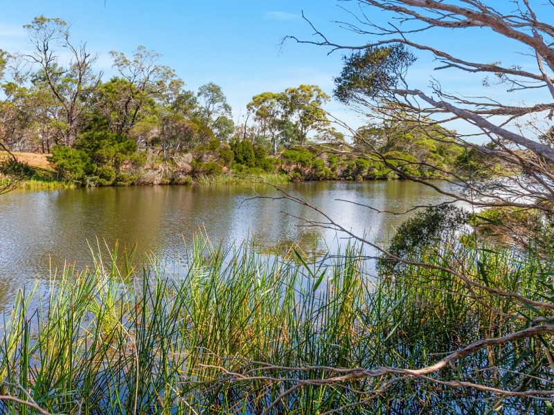 16478 TASMAN HIGHWAY, Bicheno TAS 7215