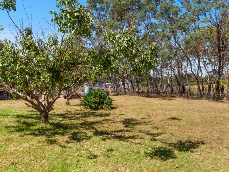 16478 TASMAN HIGHWAY, Bicheno TAS 7215