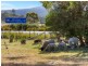 16478 TASMAN HIGHWAY, Bicheno TAS 7215