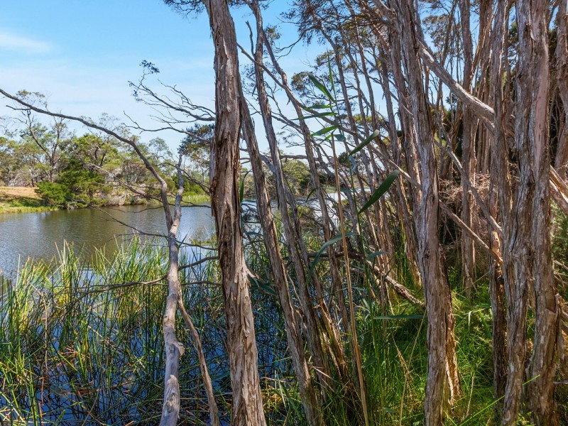 16478 TASMAN HIGHWAY, Bicheno TAS 7215