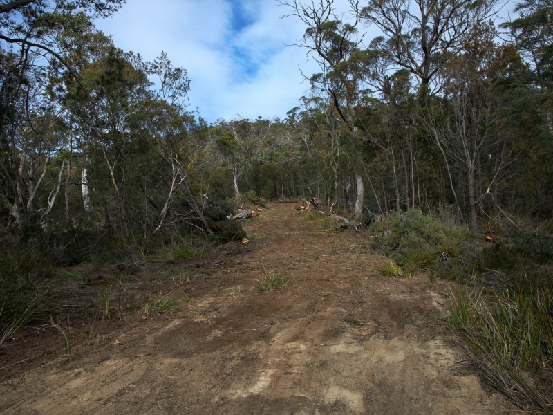 27 Rosedale Road, Bicheno TAS 7215
