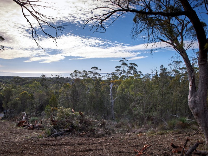 27 Rosedale Road, Bicheno TAS 7215
