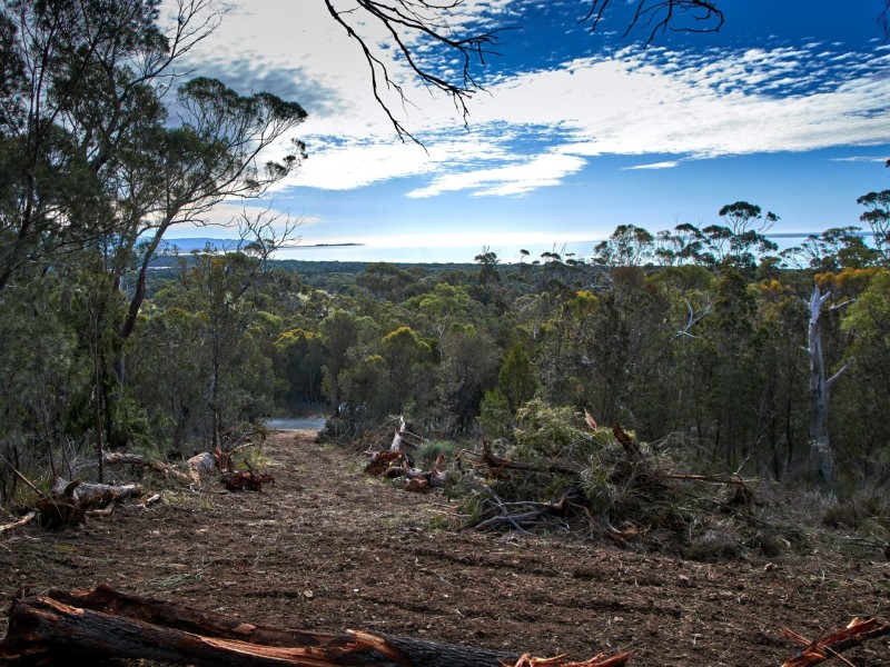 27 Rosedale Road, Bicheno TAS 7215
