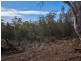 27 Rosedale Road, Bicheno TAS 7215