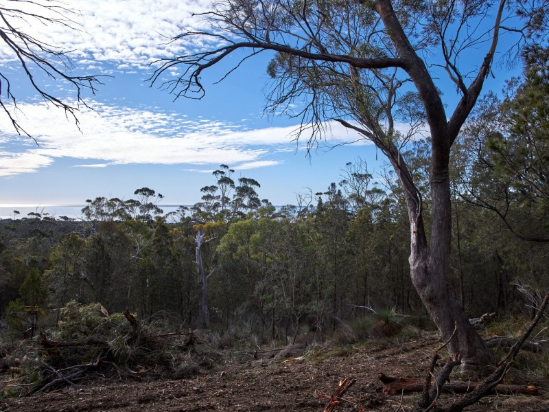27 Rosedale Road, Bicheno TAS 7215