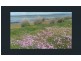 1100 Coles Bay Road, Coles Bay TAS 7215
