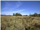 1100 Coles Bay Road, Coles Bay TAS 7215