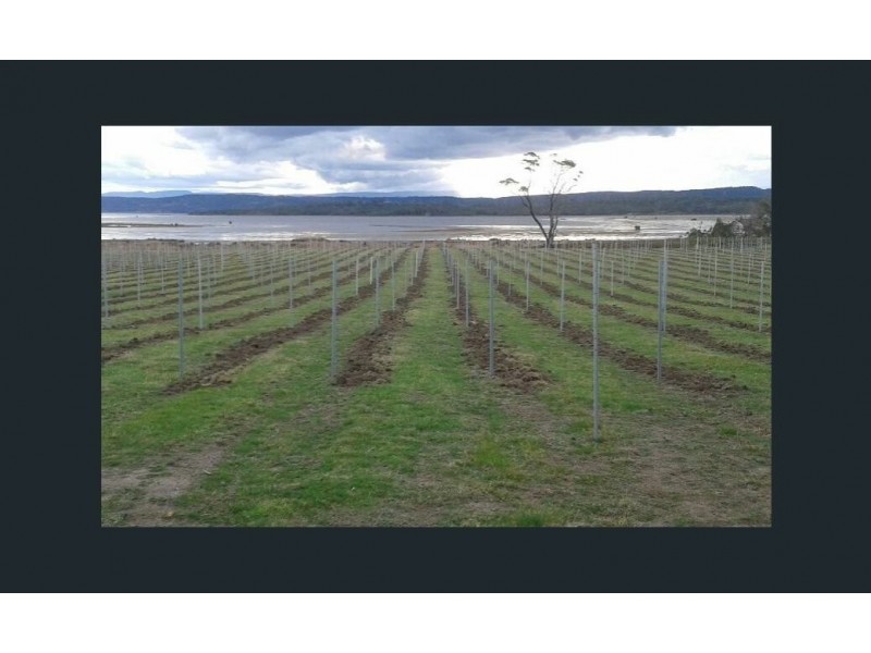 1100 Coles Bay Road, Coles Bay TAS 7215