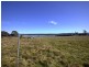 1100 Coles Bay Road, Coles Bay TAS 7215