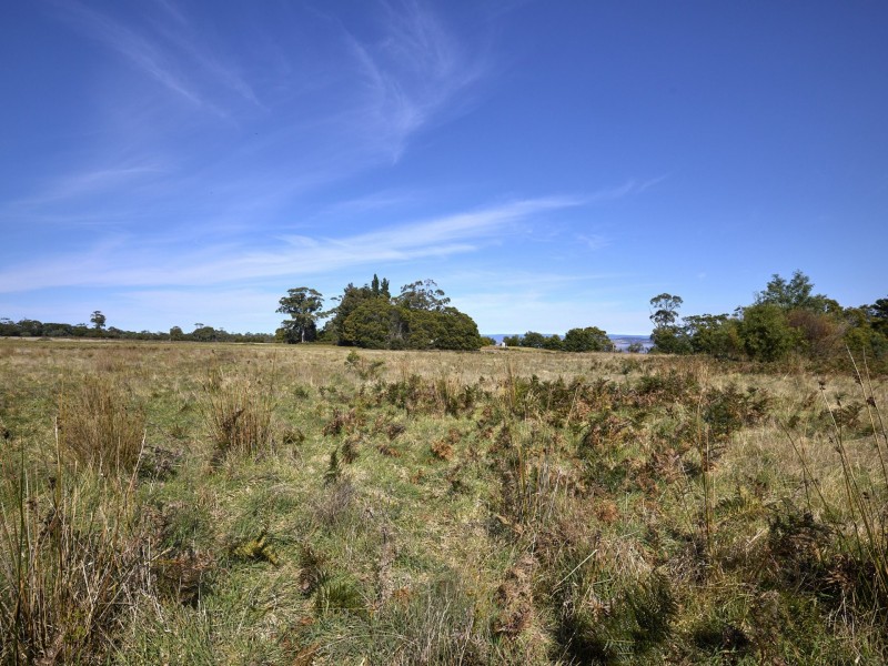 1100 Coles Bay Road, Coles Bay TAS 7215