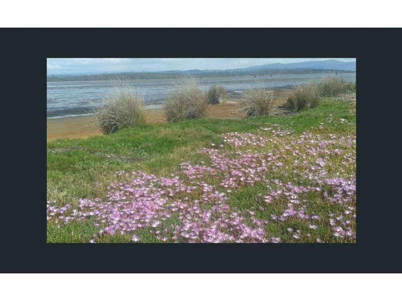 1100 Coles Bay Road, Coles Bay TAS 7215