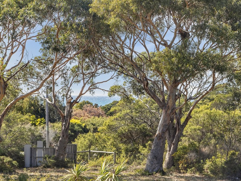 276 Harveys Farm Road, Bicheno TAS 7215