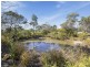 276 Harveys Farm Road, Bicheno TAS 7215
