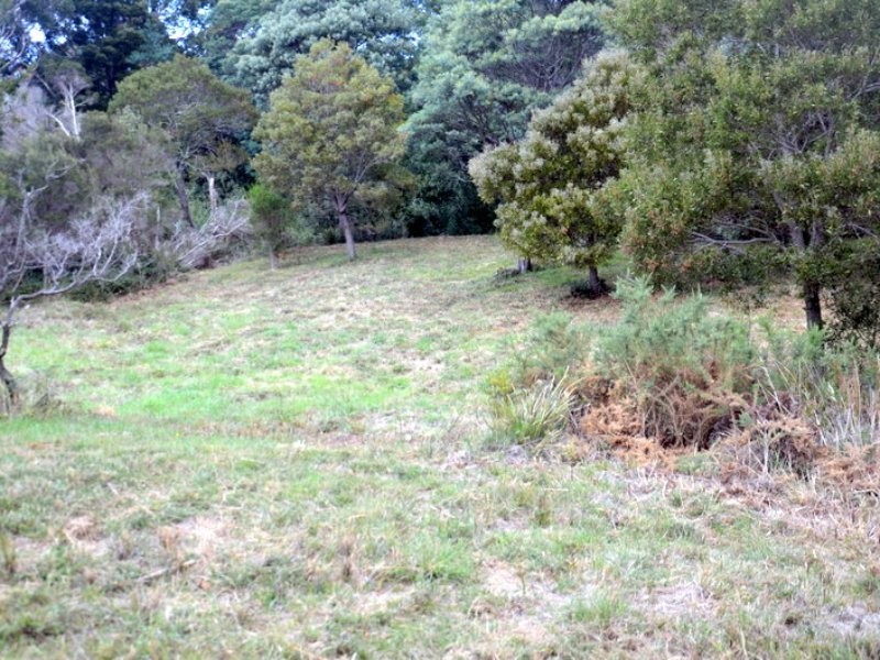 1 Tasman Highway, Seymour TAS 7215