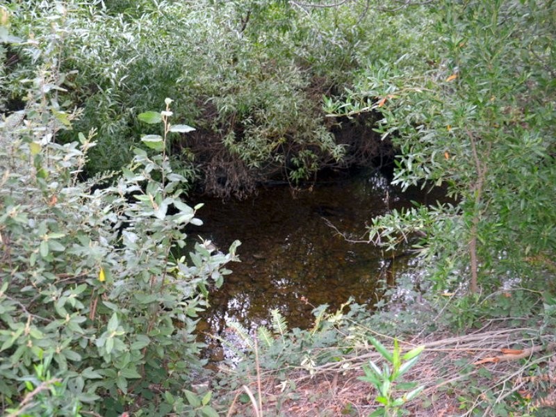 1 Tasman Highway, Seymour TAS 7215