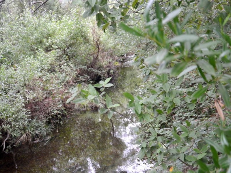 1 Tasman Highway, Seymour TAS 7215