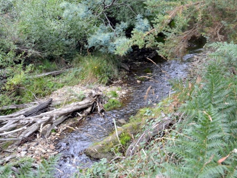 1 Tasman Highway, Seymour TAS 7215