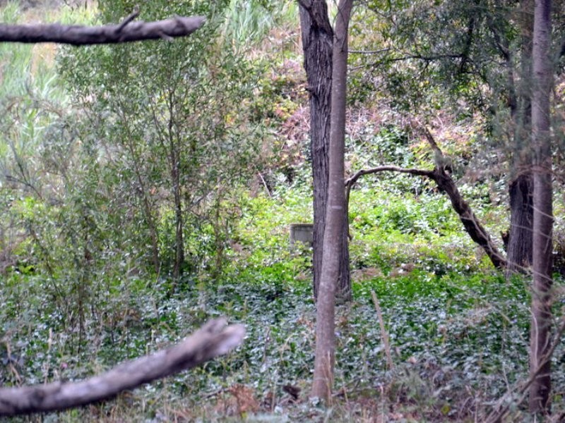 1 Tasman Highway, Seymour TAS 7215